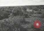 Image les troupes allemandes la Russie Union Soviétique, 1943, de la seconde 62 séquences d'archives historiques vidéo 65675057615