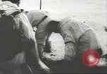 Immagine di Operazione tedesca Nordwind Gambsheim Francia, 1945, secondo 32 filmato di repertorio 65675057617