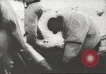 Immagine di Operazione tedesca Nordwind Gambsheim Francia, 1945, secondo 33 filmato di repertorio 65675057617