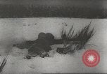 Immagine di Operazione tedesca Nordwind Gambsheim Francia, 1945, secondo 57 filmato di repertorio 65675057617