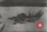 Immagine di Operazione tedesca Nordwind Gambsheim Francia, 1945, secondo 58 filmato di repertorio 65675057617
