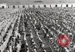 Immagine di Il Mahatma Gandhi India, 1945, secondo 15 filmato di repertorio 65675057623