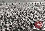 Immagine di Il Mahatma Gandhi India, 1945, secondo 19 filmato di repertorio 65675057623
