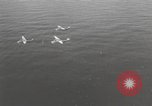 Image of United States Navy anti-submarine patrol Pacific Theater, 1942, second 20 stock footage video 65675057627