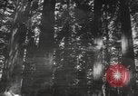 Image of Mail Call United States USA, 1944, second 35 stock footage video 65675057638