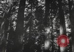 Image of Mail Call United States USA, 1944, second 36 stock footage video 65675057638