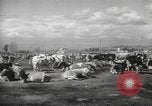 Image of Mail Call United States USA, 1944, second 58 stock footage video 65675057638