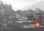Image of Mail Call United States USA, 1944, second 60 stock footage video 65675057638