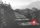 Image of Mail Call United States USA, 1944, second 61 stock footage video 65675057638