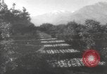 Image of Mail Call United States USA, 1944, second 62 stock footage video 65675057638