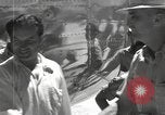 Image of Bob Hope Hawaii USA, 1944, second 15 stock footage video 65675057641