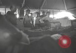 Immagine di Frances Langford Kwajalein Island Isole Marshall, 1944, secondo 47 filmato di repertorio 65675057645