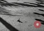 Standbild Patrol Torpedo (PT) Boot Base 21 Mios Woendi Insel Dutch New Guinea, 1944, aus Sekunde 3 historischem Filmmaterial Videoclip 65675057654