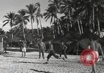 Standbild Patrol Torpedo (PT) Boot Base 21 Mios Woendi Insel Dutch New Guinea, 1944, aus Sekunde 29 historischem Filmmaterial Videoclip 65675057654
