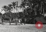 Standbild Patrol Torpedo (PT) Boot Base 21 Mios Woendi Insel Dutch New Guinea, 1944, aus Sekunde 36 historischem Filmmaterial Videoclip 65675057654