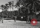 Standbild Patrol Torpedo (PT) Boot Base 21 Mios Woendi Insel Dutch New Guinea, 1944, aus Sekunde 41 historischem Filmmaterial Videoclip 65675057654