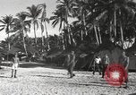 Standbild Patrol Torpedo (PT) Boot Base 21 Mios Woendi Insel Dutch New Guinea, 1944, aus Sekunde 43 historischem Filmmaterial Videoclip 65675057654