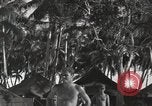 Standbild Patrol Torpedo (PT) Boot Base 21 Mios Woendi Insel Dutch New Guinea, 1944, aus Sekunde 46 historischem Filmmaterial Videoclip 65675057654