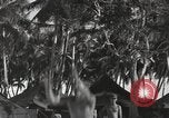 Standbild Patrol Torpedo (PT) Boot Base 21 Mios Woendi Insel Dutch New Guinea, 1944, aus Sekunde 47 historischem Filmmaterial Videoclip 65675057654