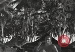 Standbild Patrol Torpedo (PT) Boot Base 21 Mios Woendi Insel Dutch New Guinea, 1944, aus Sekunde 48 historischem Filmmaterial Videoclip 65675057654