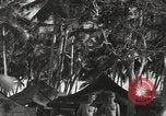 Standbild Patrol Torpedo (PT) Boot Base 21 Mios Woendi Insel Dutch New Guinea, 1944, aus Sekunde 49 historischem Filmmaterial Videoclip 65675057654