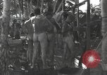 Standbild Patrol Torpedo (PT) Boot Base 21 Mios Woendi Insel Dutch New Guinea, 1944, aus Sekunde 57 historischem Filmmaterial Videoclip 65675057654