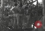 Standbild Patrol Torpedo (PT) Boot Base 21 Mios Woendi Insel Dutch New Guinea, 1944, aus Sekunde 59 historischem Filmmaterial Videoclip 65675057654