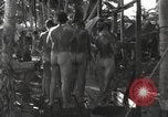 Standbild Patrol Torpedo (PT) Boot Base 21 Mios Woendi Insel Dutch New Guinea, 1944, aus Sekunde 61 historischem Filmmaterial Videoclip 65675057654