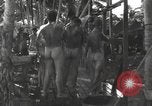 Standbild Patrol Torpedo (PT) Boot Base 21 Mios Woendi Insel Dutch New Guinea, 1944, aus Sekunde 62 historischem Filmmaterial Videoclip 65675057654