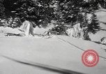 Immagine di Quarantunesima Division Washington State United States USA, 1940, secondo 30 filmato di repertorio 65675057676
