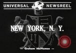 Image of Dalmatian puppies New York United States USA, 1940, second 3 stock footage video 65675057679