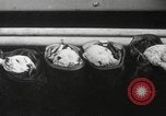 Image of Dalmatian puppies New York United States USA, 1940, second 40 stock footage video 65675057679