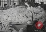 Standbild Puppen Long Island New York USA, 1940, aus Sekunde 7 historischem Filmmaterial Videoclip 65675057681