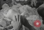 Standbild Puppen Long Island New York USA, 1940, aus Sekunde 10 historischem Filmmaterial Videoclip 65675057681