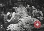 Standbild Puppen Long Island New York USA, 1940, aus Sekunde 55 historischem Filmmaterial Videoclip 65675057681