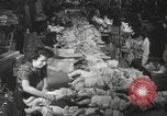 Standbild Puppen Long Island New York USA, 1940, aus Sekunde 56 historischem Filmmaterial Videoclip 65675057681