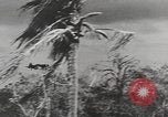 Image of United States Marines Palau Islands, 1944, second 35 stock footage video 65675057687