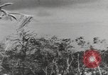 Image of United States Marines Palau Islands, 1944, second 36 stock footage video 65675057687