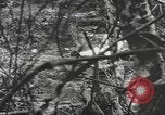 Immagine di Stati Uniti Marines Isole Palau, 1944, secondo 20 filmato di repertorio 65675057688