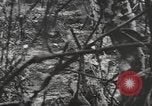 Immagine di Stati Uniti Marines Isole Palau, 1944, secondo 21 filmato di repertorio 65675057688