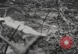 Immagine di Stati Uniti Marines Isole Palau, 1944, secondo 23 filmato di repertorio 65675057688
