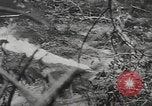 Immagine di Stati Uniti Marines Isole Palau, 1944, secondo 24 filmato di repertorio 65675057688