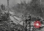 Immagine di Stati Uniti Marines Isole Palau, 1944, secondo 29 filmato di repertorio 65675057688