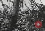 Immagine di Stati Uniti Marines Isole Palau, 1944, secondo 38 filmato di repertorio 65675057688