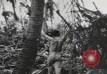 Immagine di Stati Uniti Marines Isole Palau, 1944, secondo 39 filmato di repertorio 65675057688