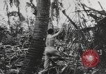 Immagine di Stati Uniti Marines Isole Palau, 1944, secondo 41 filmato di repertorio 65675057688