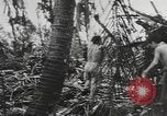 Immagine di Stati Uniti Marines Isole Palau, 1944, secondo 42 filmato di repertorio 65675057688