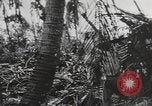 Immagine di Stati Uniti Marines Isole Palau, 1944, secondo 43 filmato di repertorio 65675057688