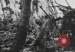 Immagine di Stati Uniti Marines Isole Palau, 1944, secondo 44 filmato di repertorio 65675057688