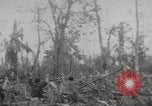 Immagine di Stati Uniti Marines Isole Palau, 1944, secondo 62 filmato di repertorio 65675057688